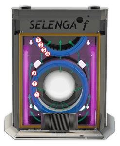 selenga-f.jpg